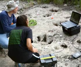 The Witte Museum - 3D Scanning Dinos